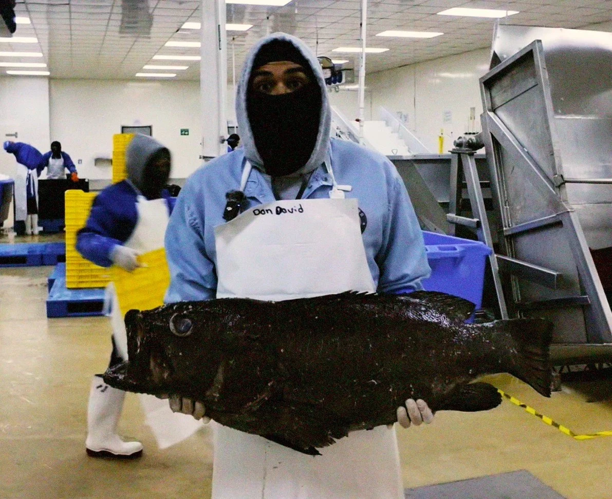 David de Pesca de Cortés sosteniendo una pieza de pescado en planta